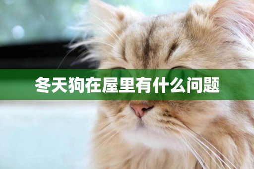 冬天狗在屋里有什么問題