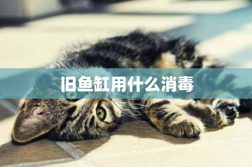 舊魚缸用什么消毒