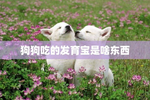狗狗吃的發育寶是啥東西