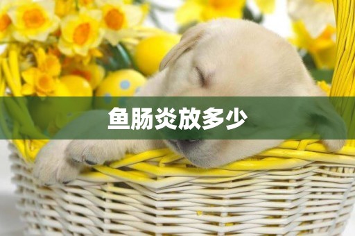 魚腸炎放多少