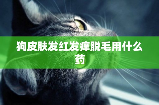 狗皮膚發紅發癢脫毛用什么藥
