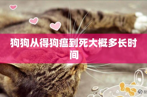 狗狗從得狗瘟到死大概多長時間