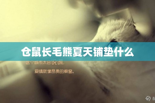 倉鼠長毛熊夏天鋪墊什么