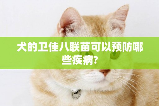 犬的衛佳八聯苗可以預防哪些疾病?