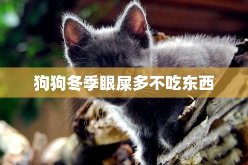 狗狗冬季眼屎多不吃東西
