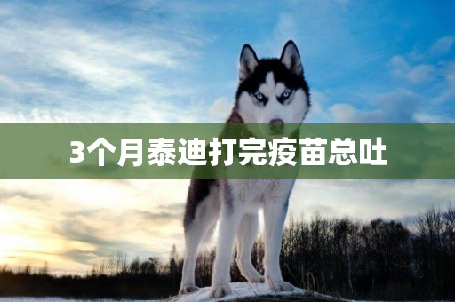 3個月泰迪打完疫苗總吐