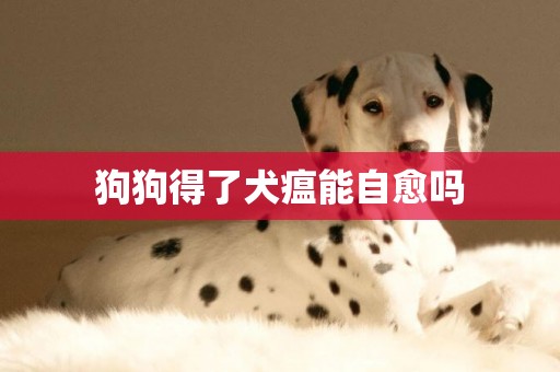 狗狗得了犬瘟能自愈嗎