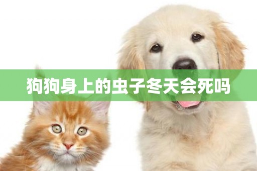 狗狗身上的蟲子冬天會死嗎