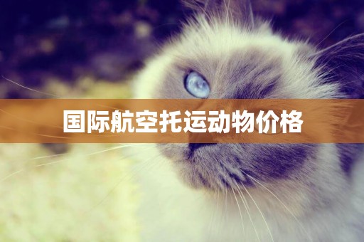 國際航空托運動物價格