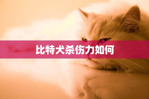 比特犬殺傷力如何
