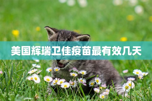 美國輝瑞衛佳疫苗最有效幾天