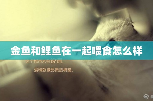 金魚和鯉魚在一起喂食怎么樣