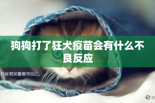 狗狗打了狂犬疫苗會有什么不良反應