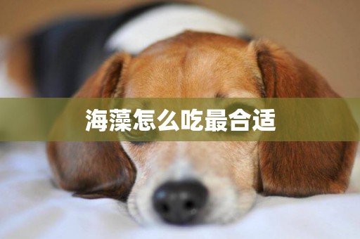 海藻怎么吃最合適