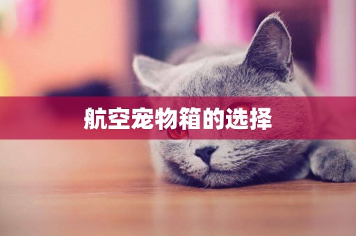 航空寵物箱的選擇