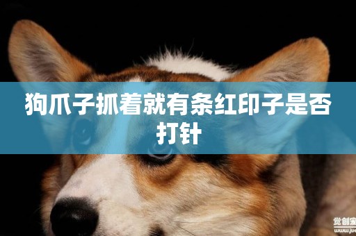 狗爪子抓著就有條紅印子是否打針