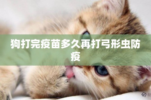狗打完疫苗多久再打弓形蟲防疫
