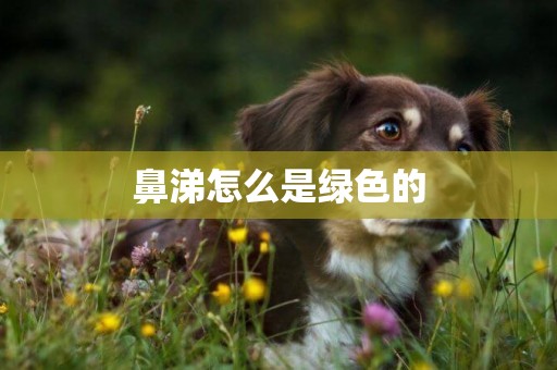 鼻涕怎么是綠色的