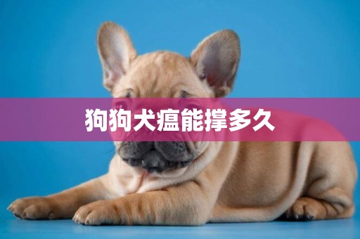 狗狗犬瘟能撐多久