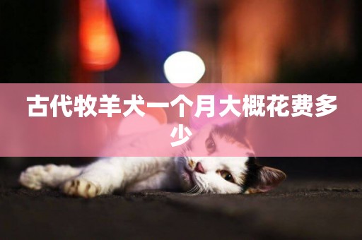 古代牧羊犬一個月大概花費多少