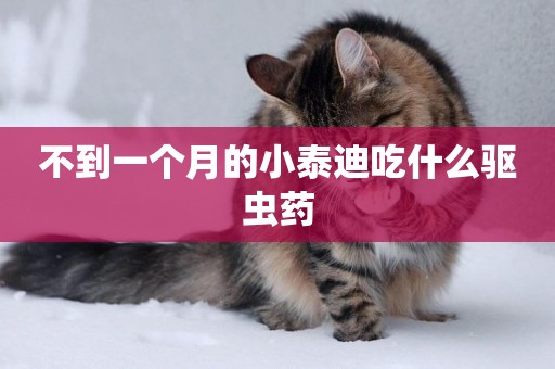 不到一個月的小泰迪吃什么驅蟲藥