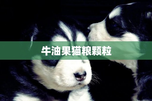 牛油果貓糧顆粒