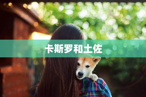 卡斯羅和土佐