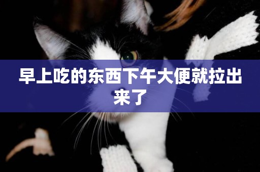 早上吃的東西下午大便就拉出來了