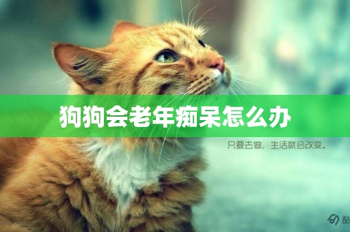 狗狗會老年癡呆怎么辦