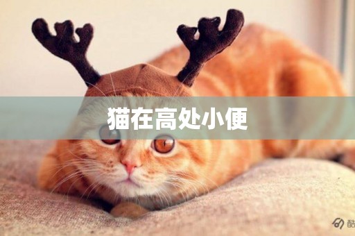 貓在高處小便