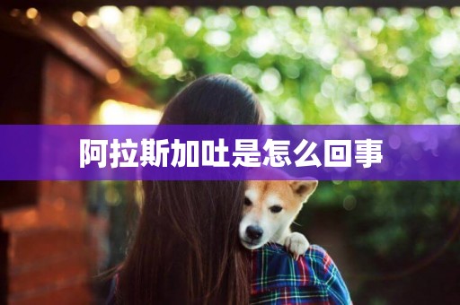 阿拉斯加吐是怎么回事