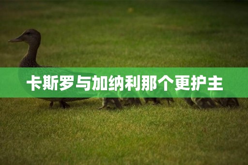 卡斯羅與加納利那個更護主