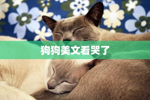 狗狗美文看哭了