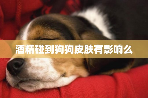 酒精碰到狗狗皮膚有影響么