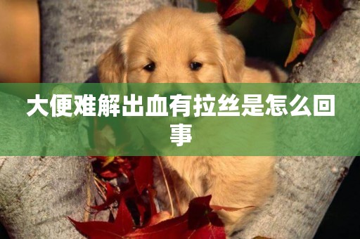 大便難解出血有拉絲是怎么回事