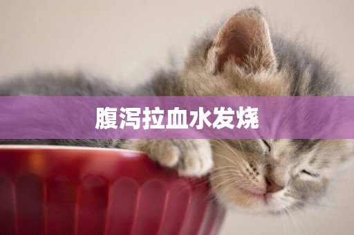 腹瀉拉血水發燒