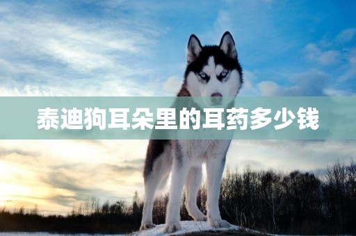 泰迪狗耳朵里的耳藥多少錢