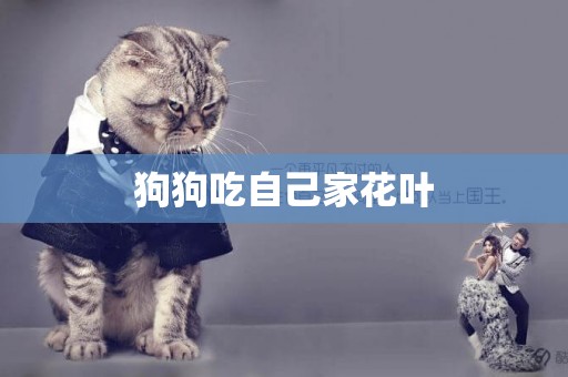狗狗吃自己家花葉