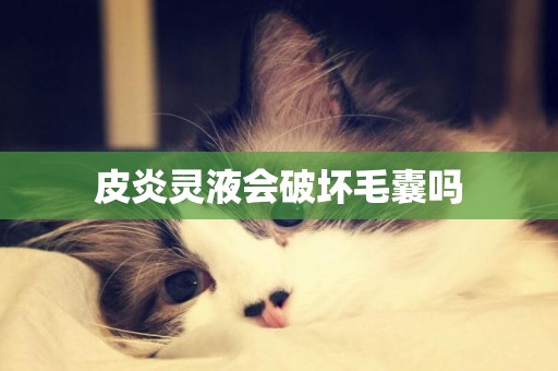皮炎靈液會破壞毛囊嗎