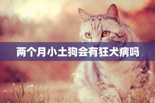 兩個月小土狗會有狂犬病嗎