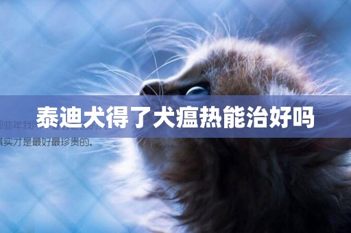 泰迪犬得了犬瘟熱能治好嗎