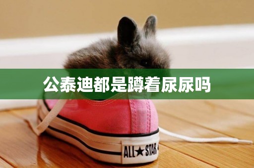 公泰迪都是蹲著尿尿嗎