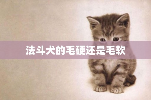 法斗犬的毛硬還是毛軟