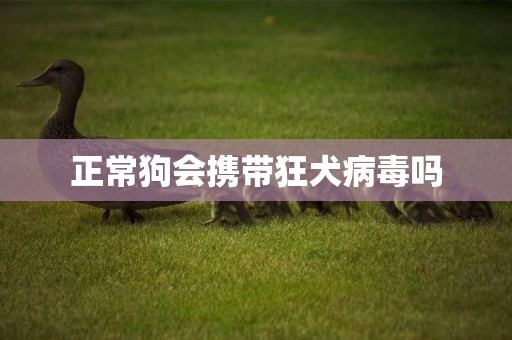 正常狗會攜帶狂犬病毒嗎