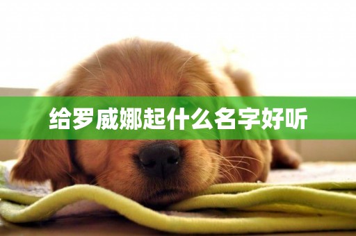 給羅威娜起什么名字好聽