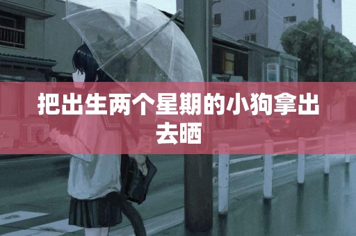 把出生兩個星期的小狗拿出去曬