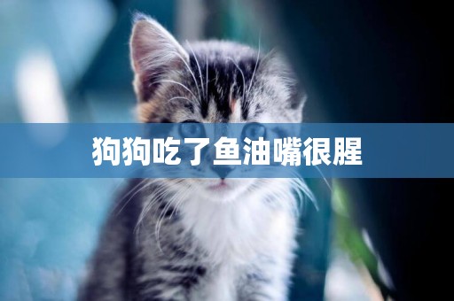 狗狗吃了魚油嘴很腥
