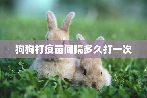 狗狗打疫苗間隔多久打一次
