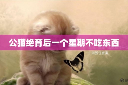 公貓絕育后一個星期不吃東西