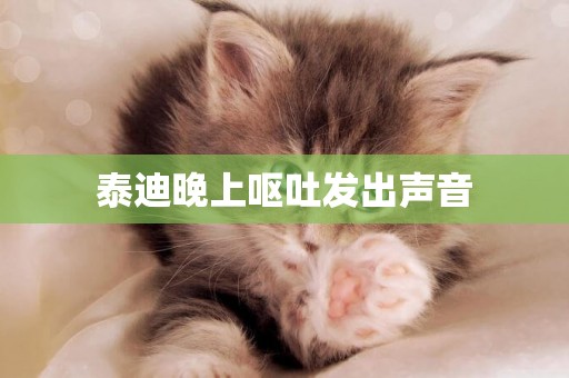 泰迪晚上嘔吐發出聲音